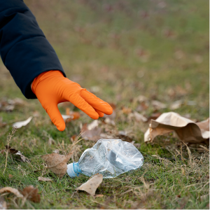 Litter Removal